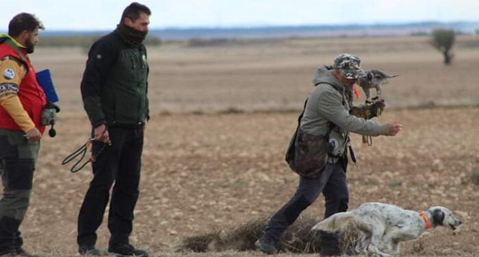 Veintiún cetreros participan en el I Campeonato Autonómico de Cetrería de CLM