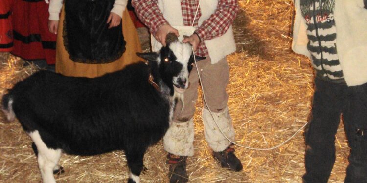 Así se armó el Belén, en Vega del Codorno, en el año 1986