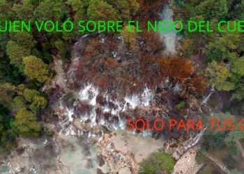 Alguien voló sobre el nido del Cuervo