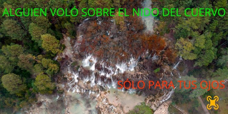 Alguien voló sobre el nido del Cuervo