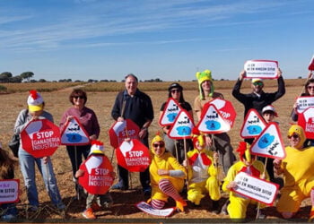 Cambio de rumbo del proyecto de Rujamar en San Clemente ante una incesante lucha contra las macrogranjas
