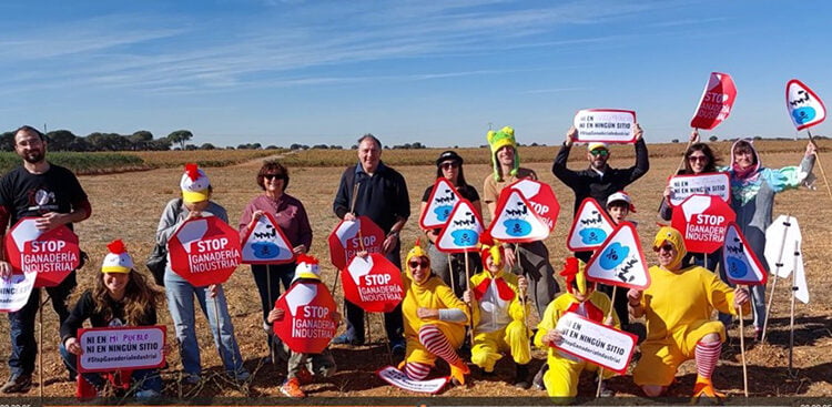 Cambio de rumbo del proyecto de Rujamar en San Clemente ante una incesante lucha contra las macrogranjas