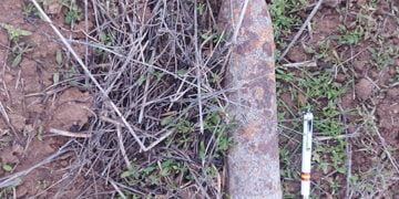 Desactivados dos proyectiles de la Guerra Civil en Guadalajara en Luzaga y en Hita