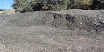 Ecologistas en Acción denuncia el abandono de las vías pecuarias de Guadalajara por parte de la Junta