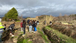 El Ayuntamiento de Carboneras de Guadazaón refuerza su apuesta por el medioambiente plantando olmos ibéricos libres de grafiosis