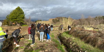 El Ayuntamiento de Carboneras de Guadazaón refuerza su apuesta por el medioambiente plantando olmos ibéricos libres de grafiosis