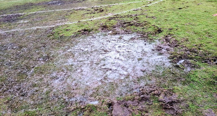 El Conquense traslada al Ayuntamiento su preocupación por el estado del césped de La Fuensanta y se ofrece a jugar fuera para arreglarlo 1 El Conquense traslada al Ayuntamiento su preocupación por el estado del césped de La Fuensanta y se ofrece a jugar fuera para arreglarlo