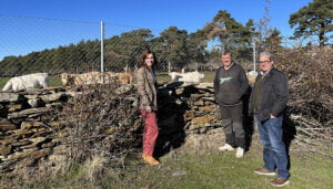 El Gobierno regional elimina el límite máximo de las ayudas a los ganaderos de extensivo por daños ocasionados por ataques de lobo