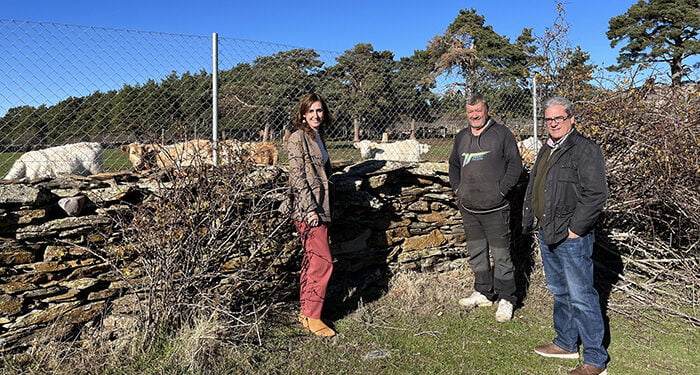 El Gobierno regional elimina el límite máximo de las ayudas a los ganaderos de extensivo por daños ocasionados por ataques de lobo