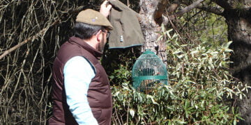 El sector cinegético pide a García-Page y a los diputados castellanomanchegos que paren la Ley Animalista