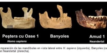 Hubo una especie humana distinta de los neandertales en Europa mucho antes de lo creído lo han descubierto investigadores de la UAH