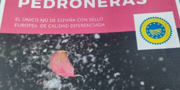 La Diputación de Cuenca fomenta la promoción del Ajo Morado de Las Pedroñeras en las fruterías de la capital