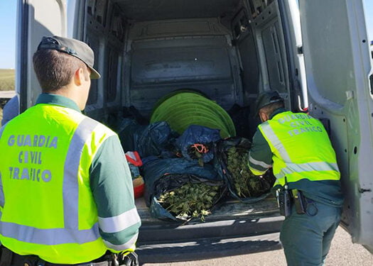 La Guardia Civil detiene a una persona con 50 kilos de marihuana y cuatro de hachís en la Autovía del Nordeste 1 La Guardia Civil detiene a una persona con 50 kilos de marihuana y cuatro de hachís en la Autovía del Nordeste