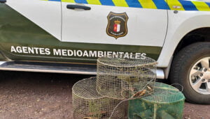 UGT denuncia el éxodo de agentes medioambientales a otras comunidades autónomas