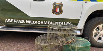 UGT denuncia el éxodo de agentes medioambientales a otras comunidades autónomas