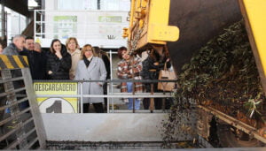 Alrededor de 140.000 hectáreas de olivar de bajo rendimiento de Castilla-La Mancha podrán recibir una ayuda excepcional con la nueva PAC