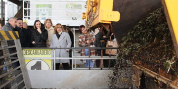 Alrededor de 140.000 hectáreas de olivar de bajo rendimiento de Castilla-La Mancha podrán recibir una ayuda excepcional con la nueva PAC