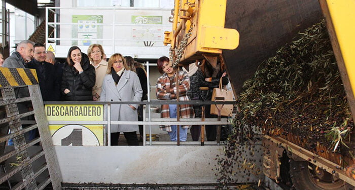 Alrededor de 140.000 hectáreas de olivar de bajo rendimiento de Castilla-La Mancha podrán recibir una ayuda excepcional con la nueva PAC 1 Alrededor de 140.000 hectáreas de olivar de bajo rendimiento de Castilla-La Mancha podrán recibir una ayuda excepcional con la nueva PAC