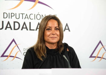 Diputación de Guadalajara destina cerca de 80.000 euros a apoyar el programa de ayuda a domicilio 7 Diputación de Guadalajara destina cerca de 80.000 euros a apoyar el programa de ayuda a domicilio