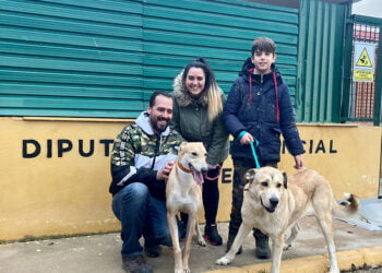 El Albergue de Animales de Cuenca ha dado en adopción a un total de 75 perros durante el año 2022 y ha tenido 71 entradas