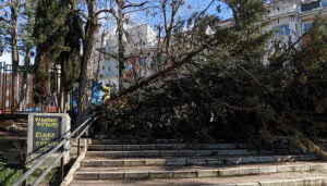 El Ayuntamiento de Cuenca recomienda no transitar por zonas arboladas debido a los fuertes vientos