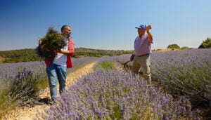 Las Rutas D’Ambrosio llega este sábado, en La2 de RTVE, a la Alcarria de Cela
