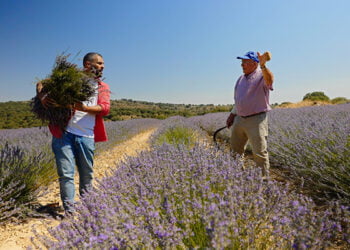 Las Rutas D’Ambrosio llega este sábado, en La2 de RTVE, a la Alcarria de Cela