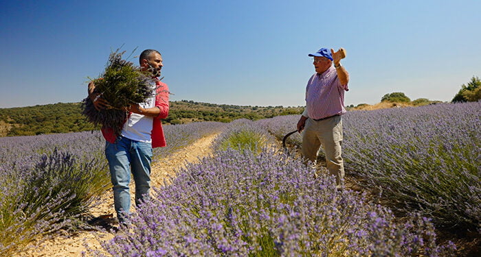 Las Rutas D’Ambrosio llega este sábado, en La2 de RTVE, a la Alcarria de Cela 1 Las Rutas D’Ambrosio llega este sábado, en La2 de RTVE, a la Alcarria de Cela