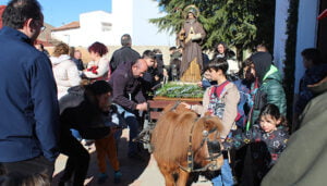 Récord de participación en San Antón en Quintanar del Rey