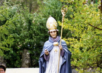 Vídeo. San Julián 2009