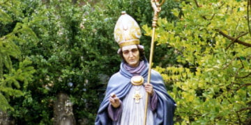 Vídeo. San Julián 2009