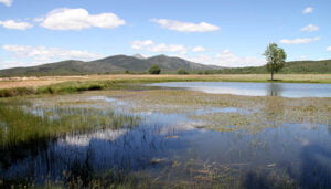Un total de 17 ayuntamientos y asociaciones de la Sierra Norte buscan mejorar sus infraestructuras agrarias a través de ADEL