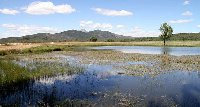Un total de 17 ayuntamientos y asociaciones de la Sierra Norte buscan mejorar sus infraestructuras agrarias a través de ADEL