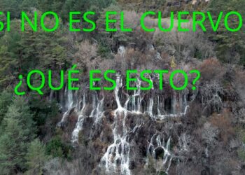 Vídeo. La hermana pequeña del Cuervo