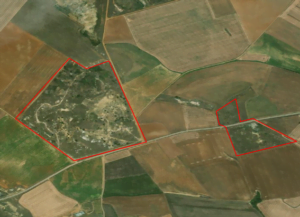 Aliente Guadalajara cree que sobra sitio en Castilla-La Mancha para instalar megaproyectos fotovoltaicos en terrenos ya degradados