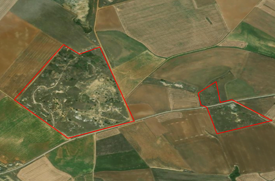 Aliente Guadalajara cree que sobra sitio en Castilla-La Mancha para instalar megaproyectos fotovoltaicos en terrenos ya degradados