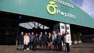 Castilla-La Mancha salva la campaña de aceite de oliva, afianzándose como segunda región productora de España