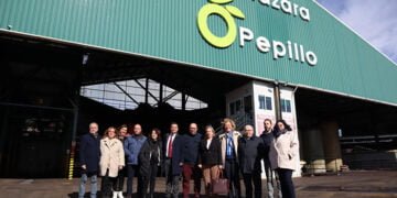 Castilla-La Mancha salva la campaña de aceite de oliva, afianzándose como segunda región productora de España