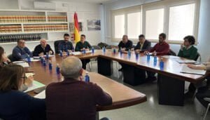 Cuenca tendrá dos plantas fotovoltaicas más en Villalba del Rey y Tinajas y otra de autoconsumo en Villanueva de la Jara