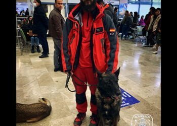 David y su perro Vito vuelven a Guadalajara de Turquía con la satisfacción de haber rescatado a dos personas