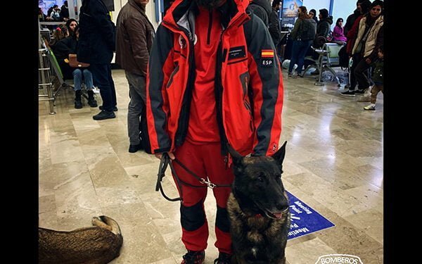 David y su perro Vito vuelven a Guadalajara de Turquía con la satisfacción de haber rescatado a dos personas 1 David y su perro Vito vuelven a Guadalajara de Turquía con la satisfacción de haber rescatado a dos personas