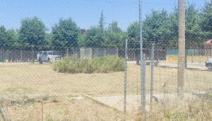 El PP acusa a la Diputación de opacidad en la gestión del Albergue de Animales y pide explicaciones sobre irregularidades en chips de identificación de perros