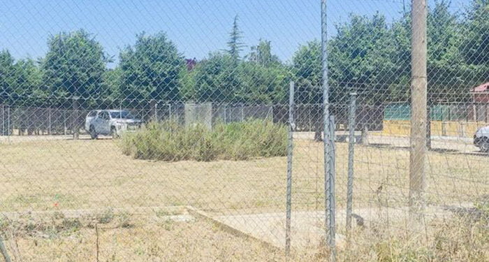 El PP acusa a la Diputación de Cuenca de opacidad en la gestión del Albergue de Animales y pide explicaciones sobre irregularidades en chips de identificación de perros 1 El PP acusa a la Diputación de opacidad en la gestión del Albergue de Animales y pide explicaciones sobre irregularidades en chips de identificación de perros