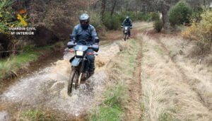 El SEPRONA investiga un delito de abandono de animales domésticos con resultado de muerte en Alovera