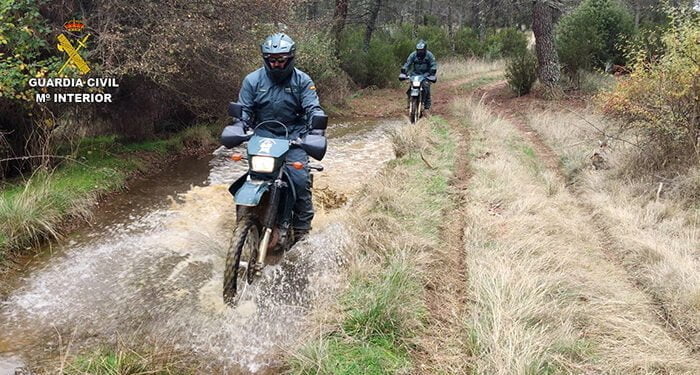 El SEPRONA investiga un delito de abandono de animales domésticos con resultado de muerte en Alovera