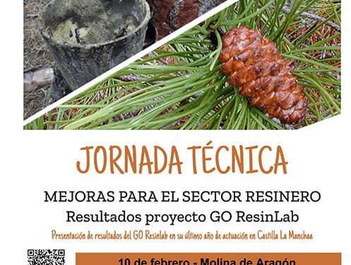 Jornada divulgativa de presentación de resultados del grupo operativo Resinlab en Molina de Aragón 1 Jornada divulgativa de presentación de resultados del grupo operativo Resinlab en Molina de Aragón