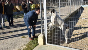 La Diputación de Cuenca construirá unas nuevas instalaciones “modernas y sostenibles” para el Albergue de Animales en Arcas