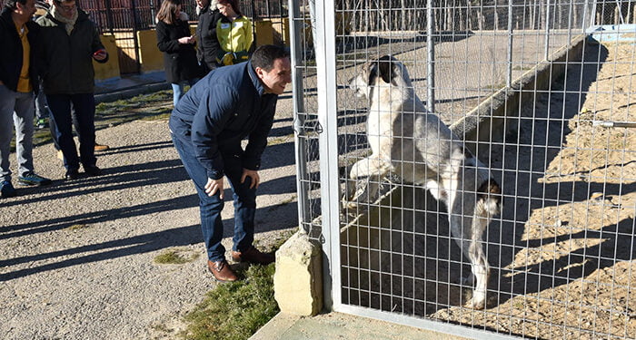 La Diputación de Cuenca construirá unas nuevas instalaciones “modernas y sostenibles” para el Albergue de Animales en Arcas