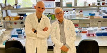 La UCLM participa en un estudio que describe la evolución de los anticuerpos anti-SARS-CoV-2 tras la vacunación