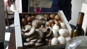 Las exportaciones de productos conquenses siguen sumando pese a la crisis inflacionista